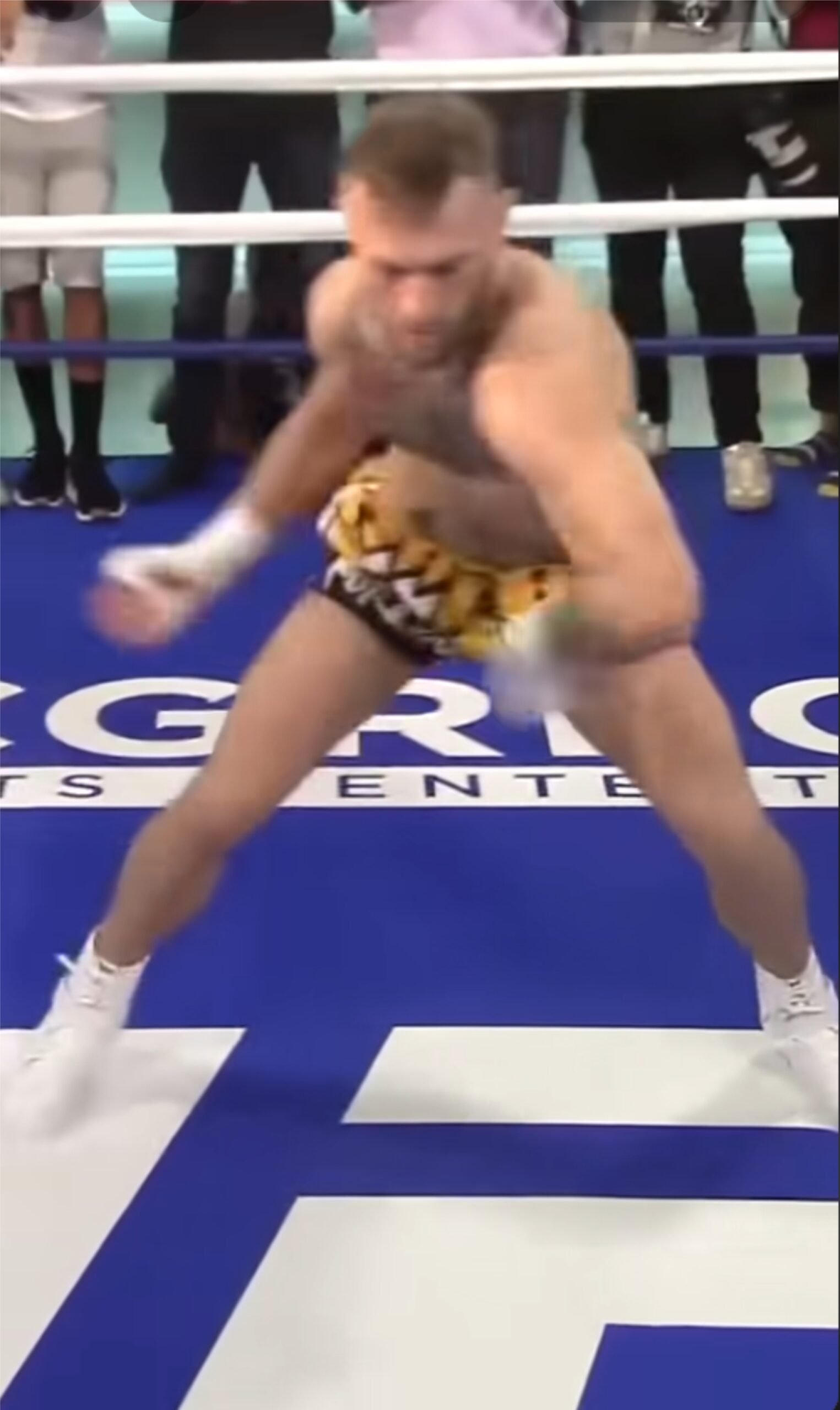 Does McGregor practice Russian Systema?